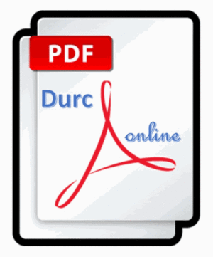 Allegato PDF scaricabile